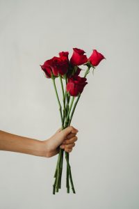 pic credit: pexels-amina-filkins-5414050